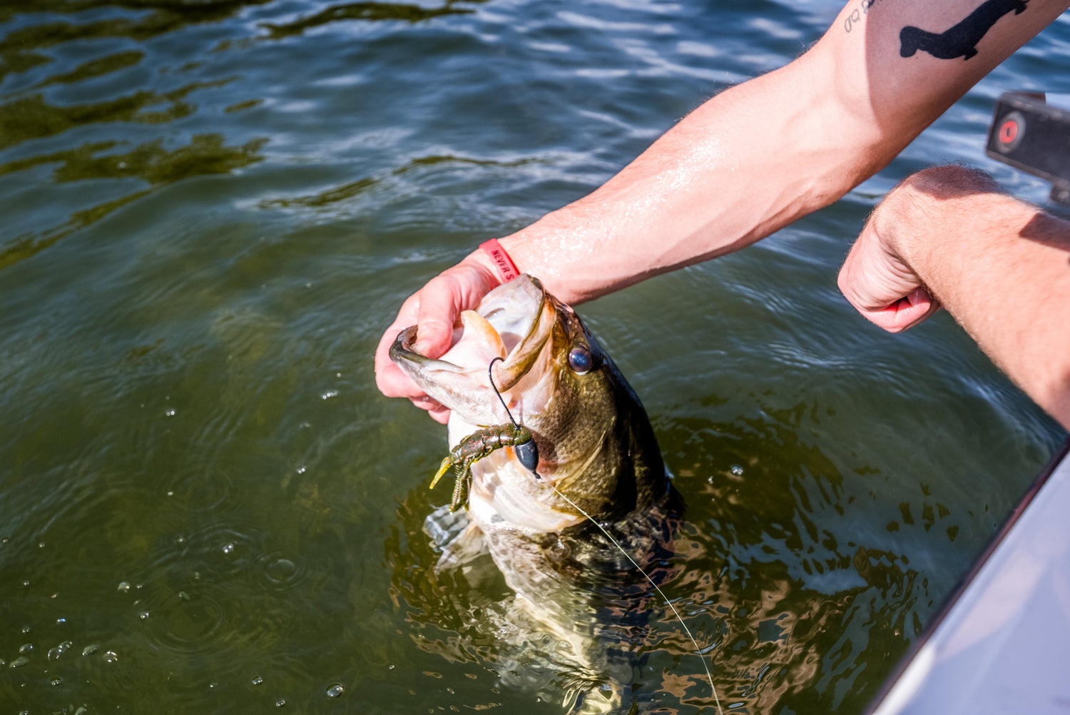How Water Temperature Affects Bass Fishing