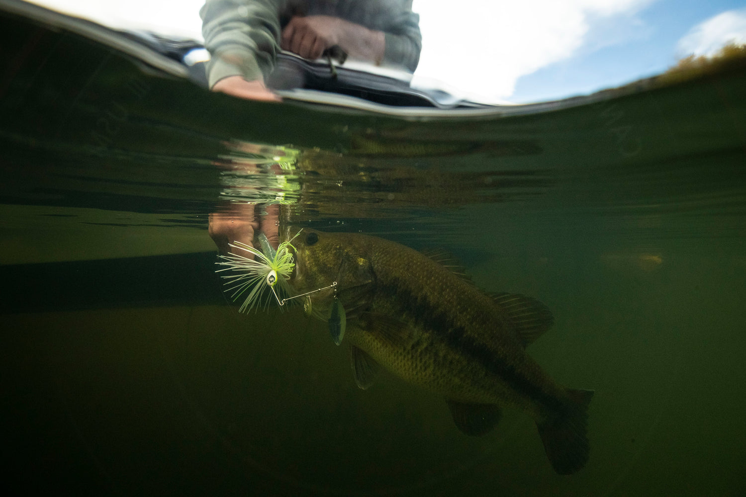 How to Fish Spinnerbaits for Bass