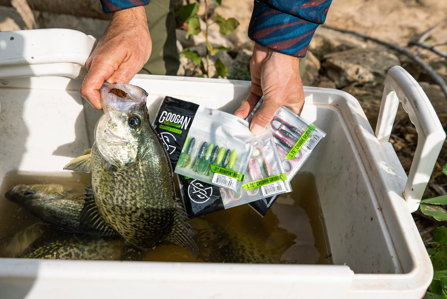 How to Catch Crappie: A Beginner's Guide