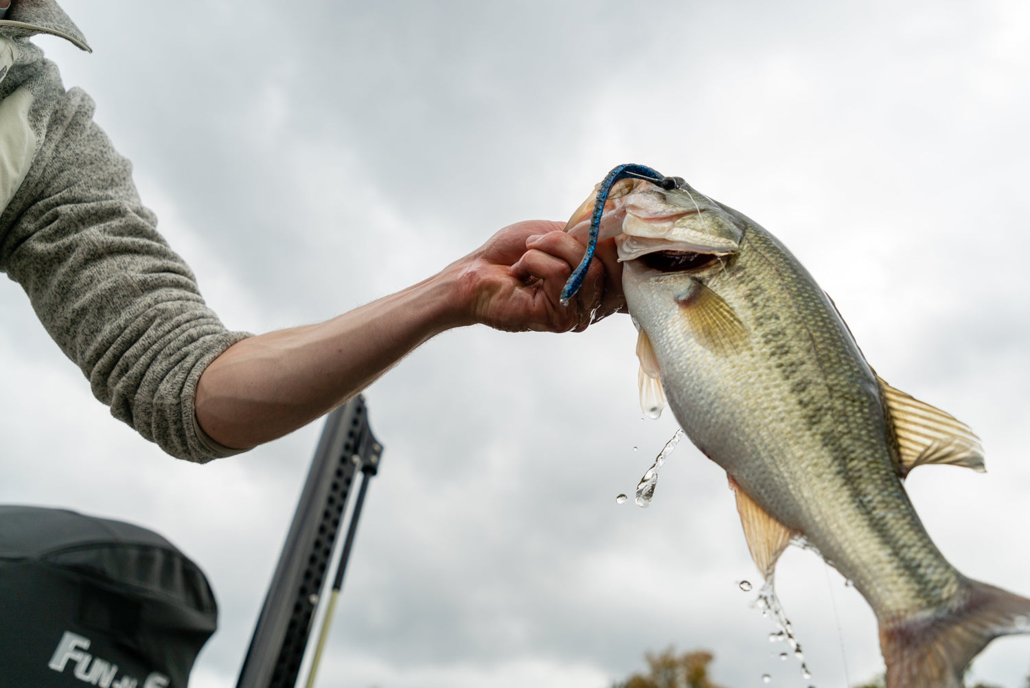 How to Drop Shot for Bass and Catch More Finicky Fish