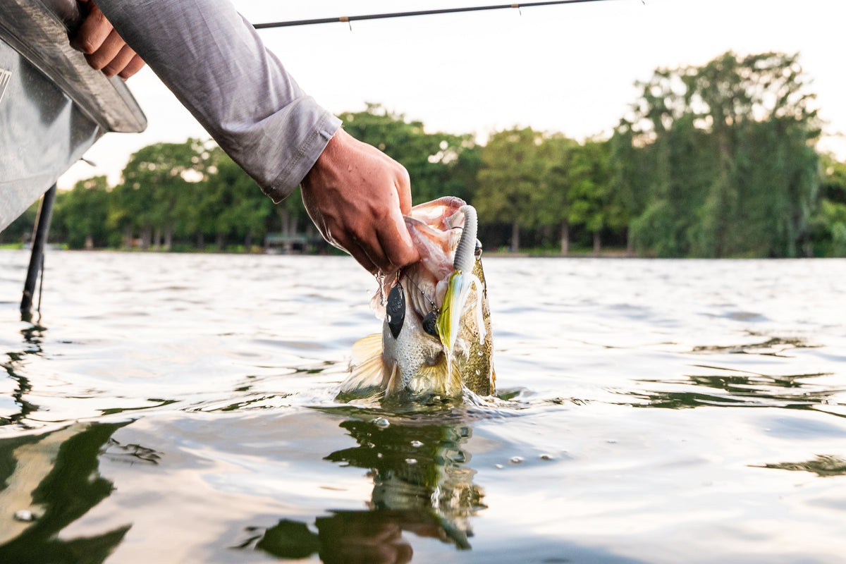 Zinger 2.0: The Redesigned Spinnerbait