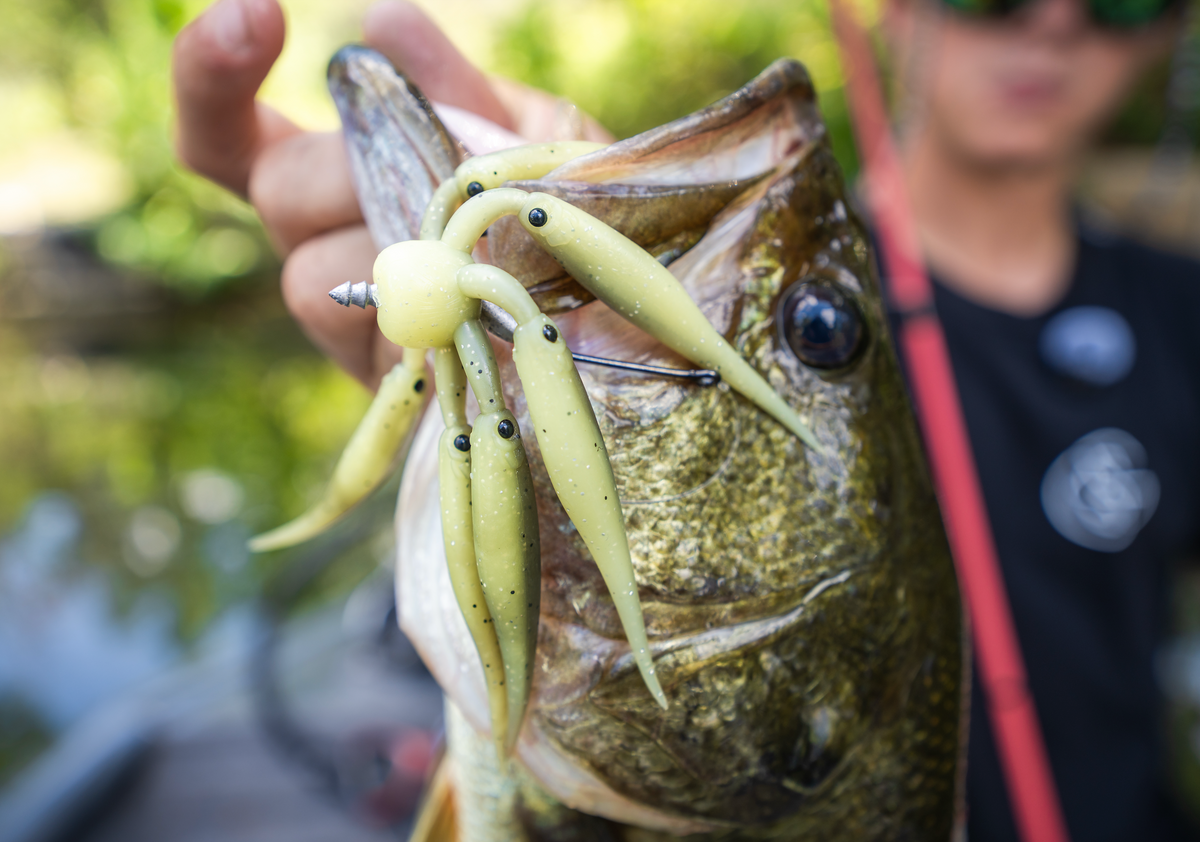 Googan Squad Schooler: How to Rig & Fish the Schooler