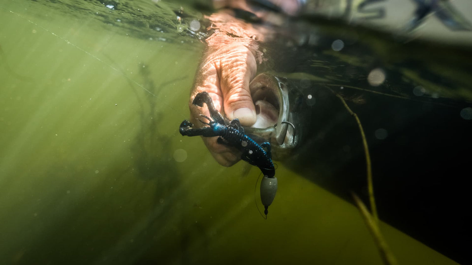 Underwater view of bass mouth with lure, showing feeding strike