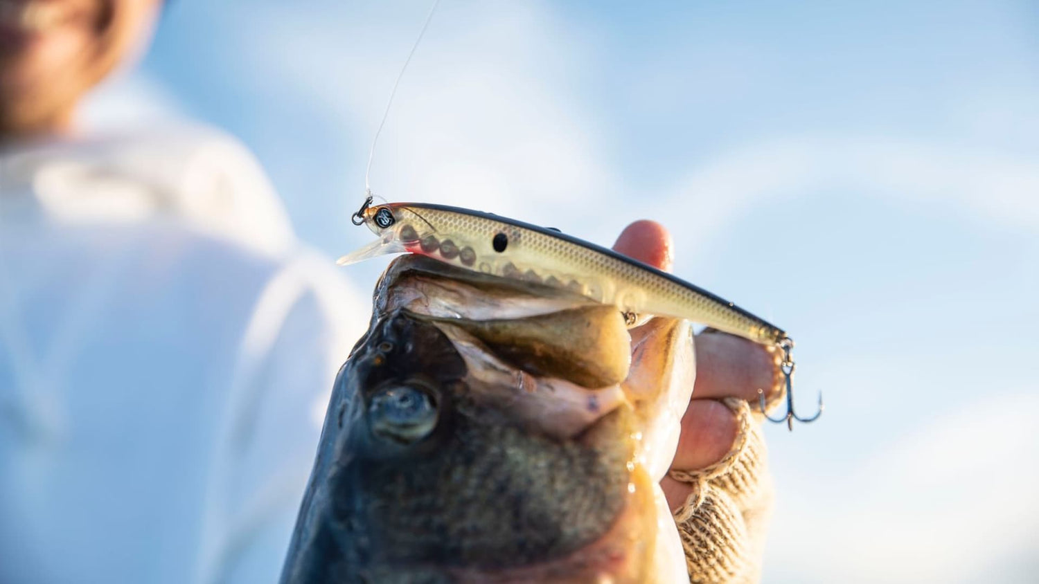 Angler holding a largemouth bass caught on a slender jerkbait.