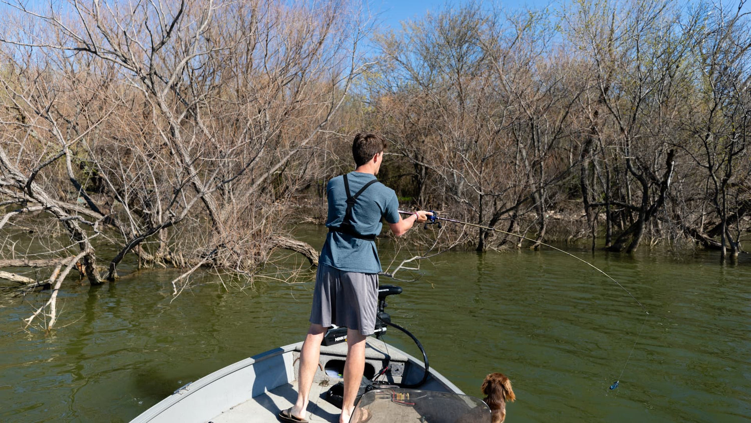 Angler casting lure to laydown trees for bass