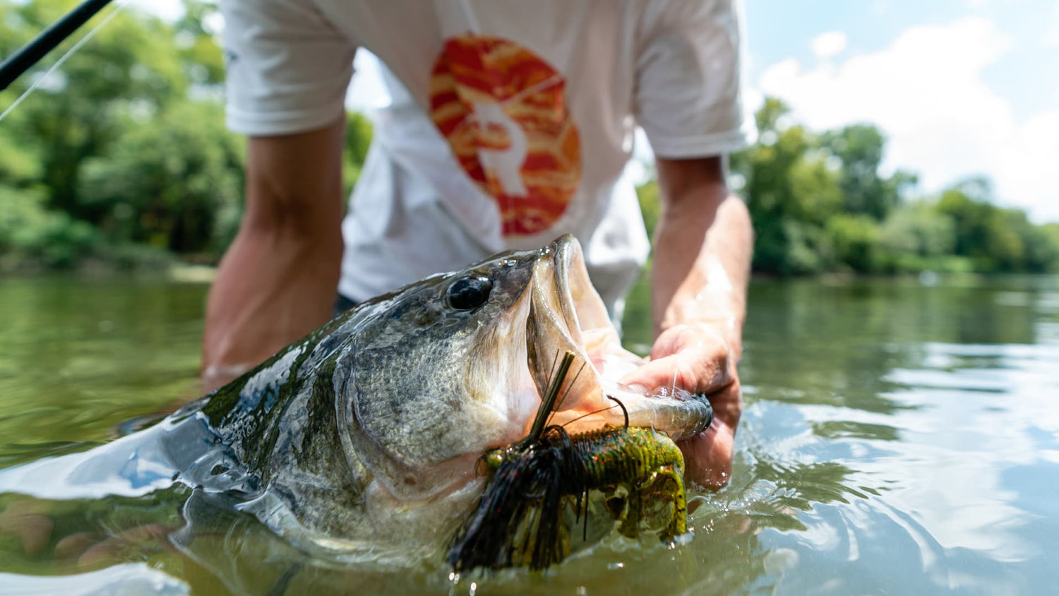 angler holding bass caught in small pond