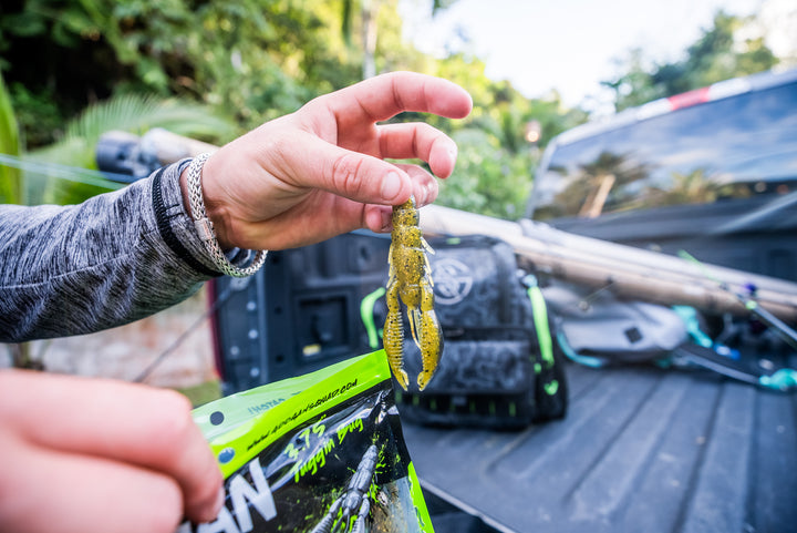 Limited Edition Reserve Tuggin' Bug - [Gold Rush]