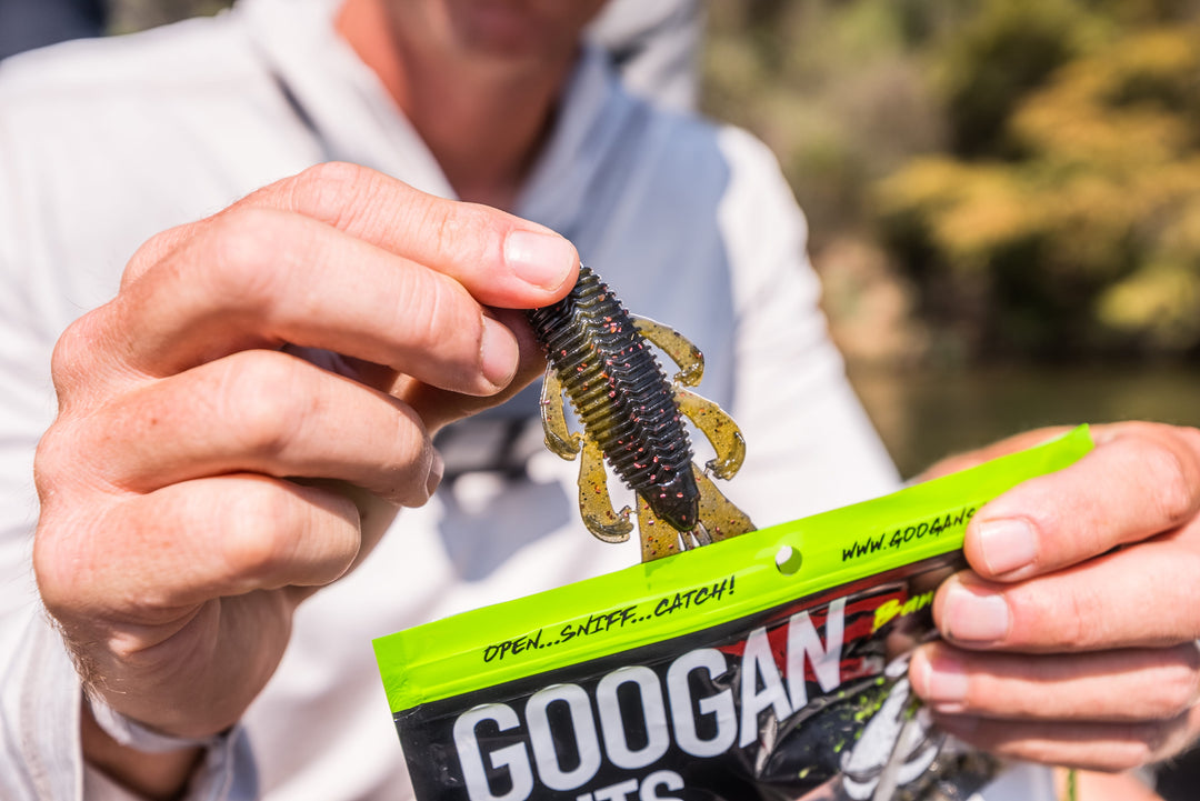 Limited Edition Reserve Bandito Bug - [Camo]