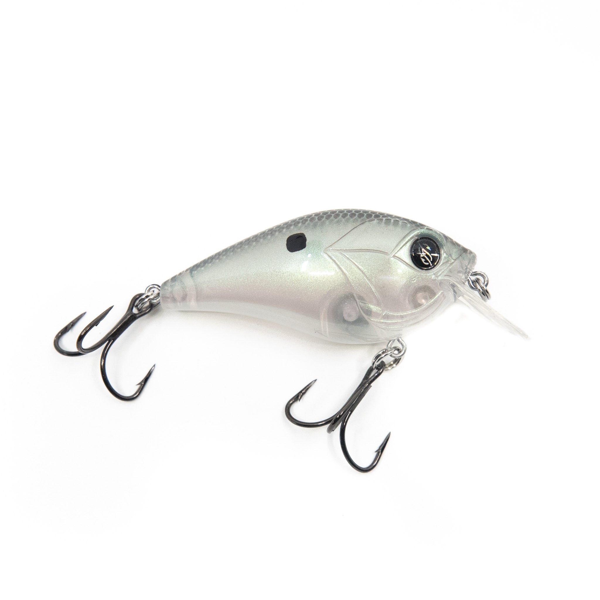 Limited Edition Reserve Banger - [Ghost Green Gizzard]