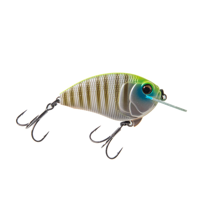 Bass Mafia Fugitive Flat-Sided Crankbait