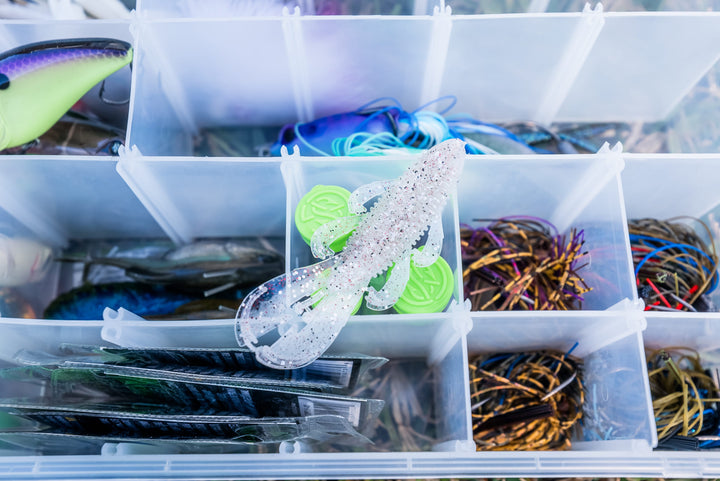 Limited Edition Reserve Bandito Bug - [Icicle]