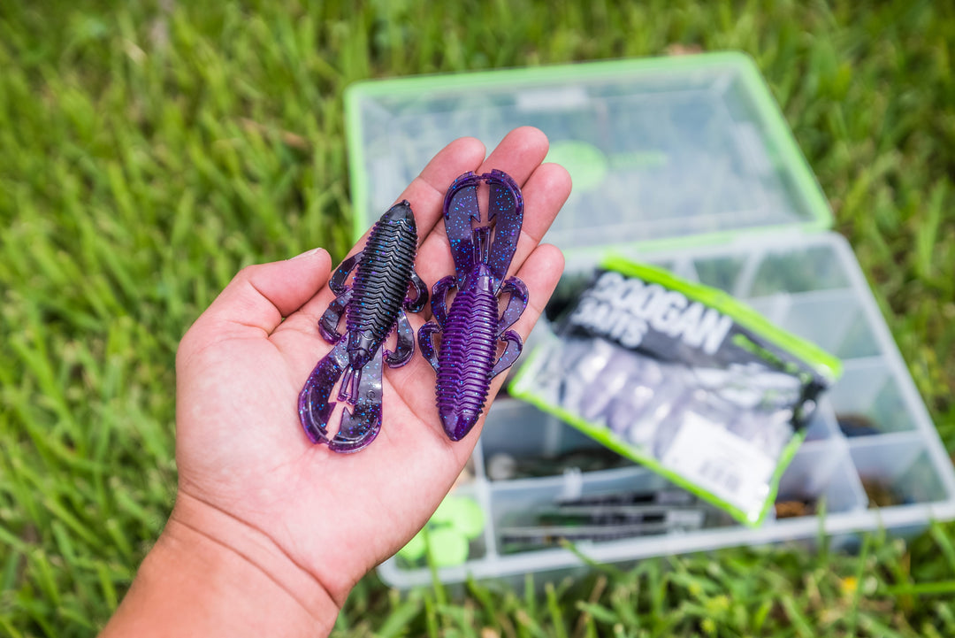 Limited Edition Reserve Bandito Bug - [Nebula]