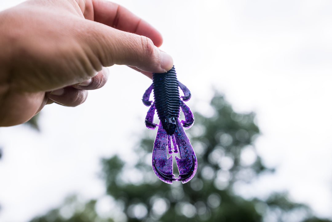 Limited Edition Reserve Bandito Bug - [Nebula]