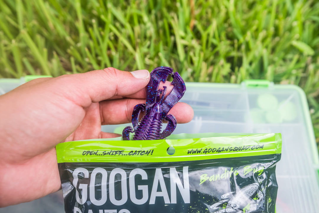 Limited Edition Reserve Bandito Bug - [Nebula]