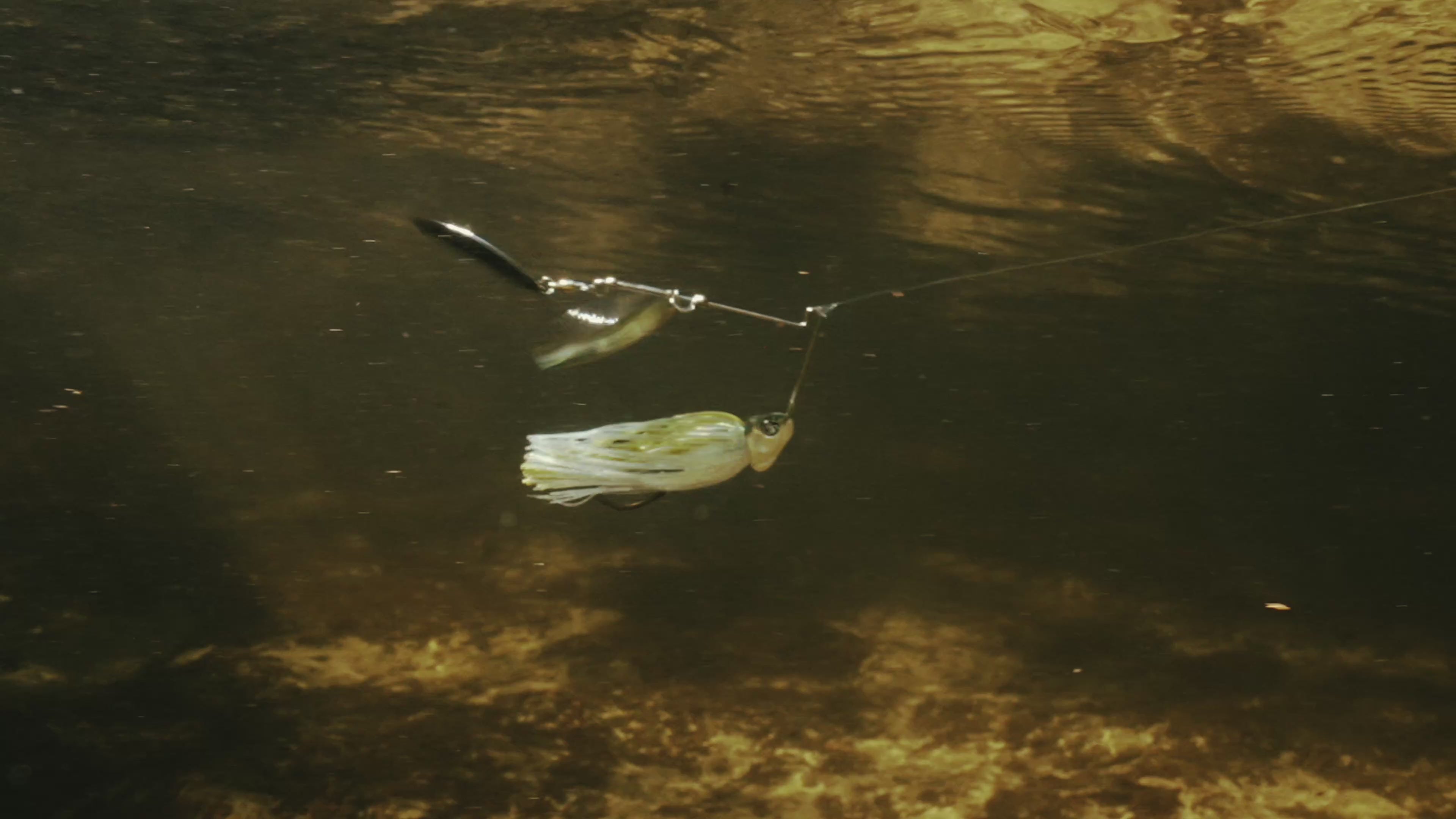 Load video: Video shows the bait underwater swimming