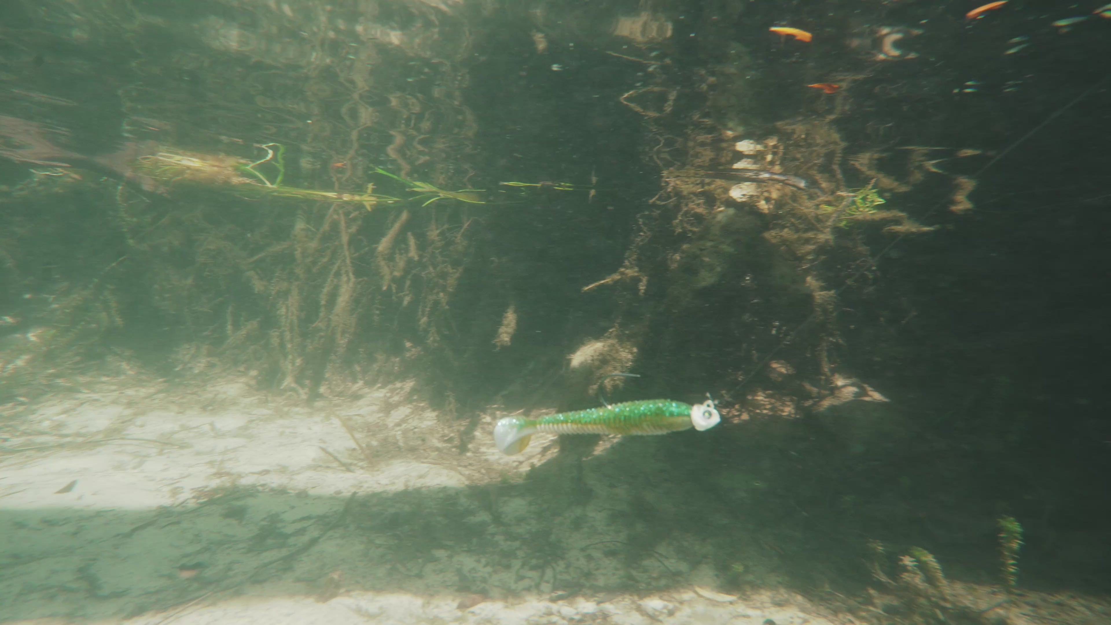 Load video: Video shows the bait underwater swimming