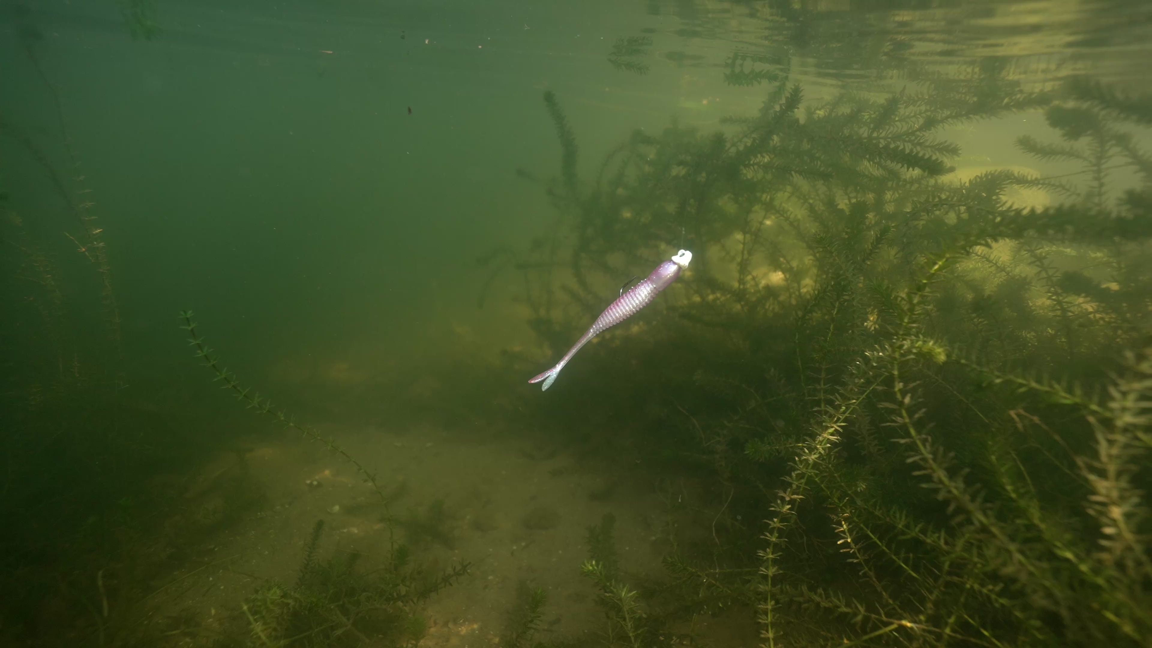 Load video: Video shows the bait underwater swimming