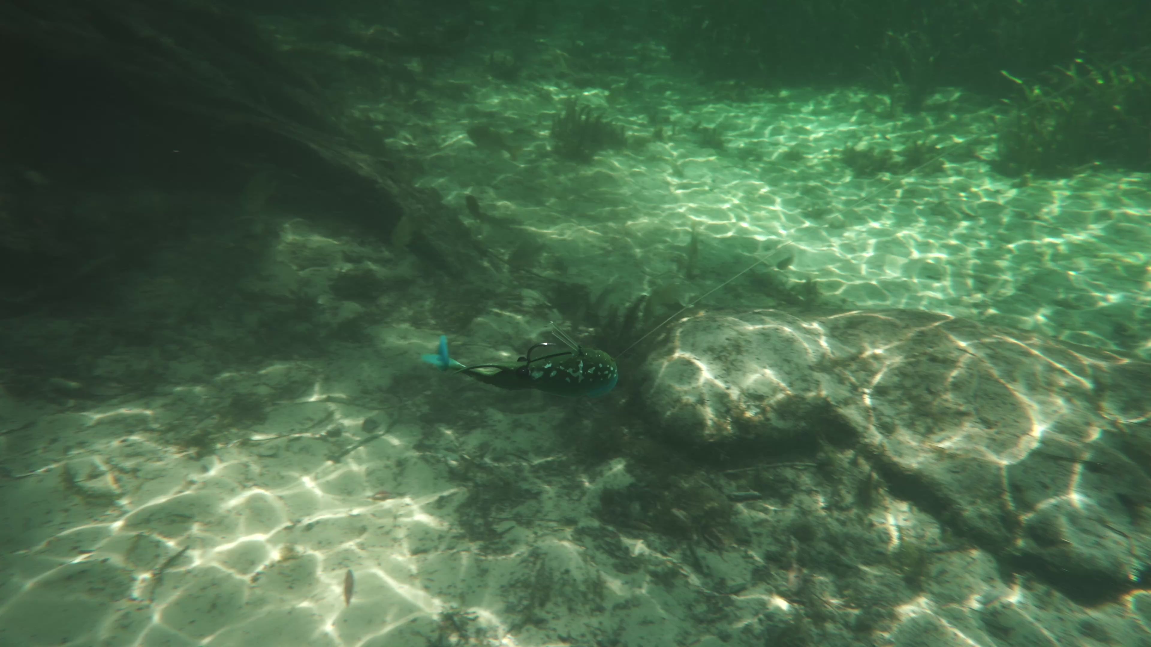Load video: Video shows the bait underwater swimming