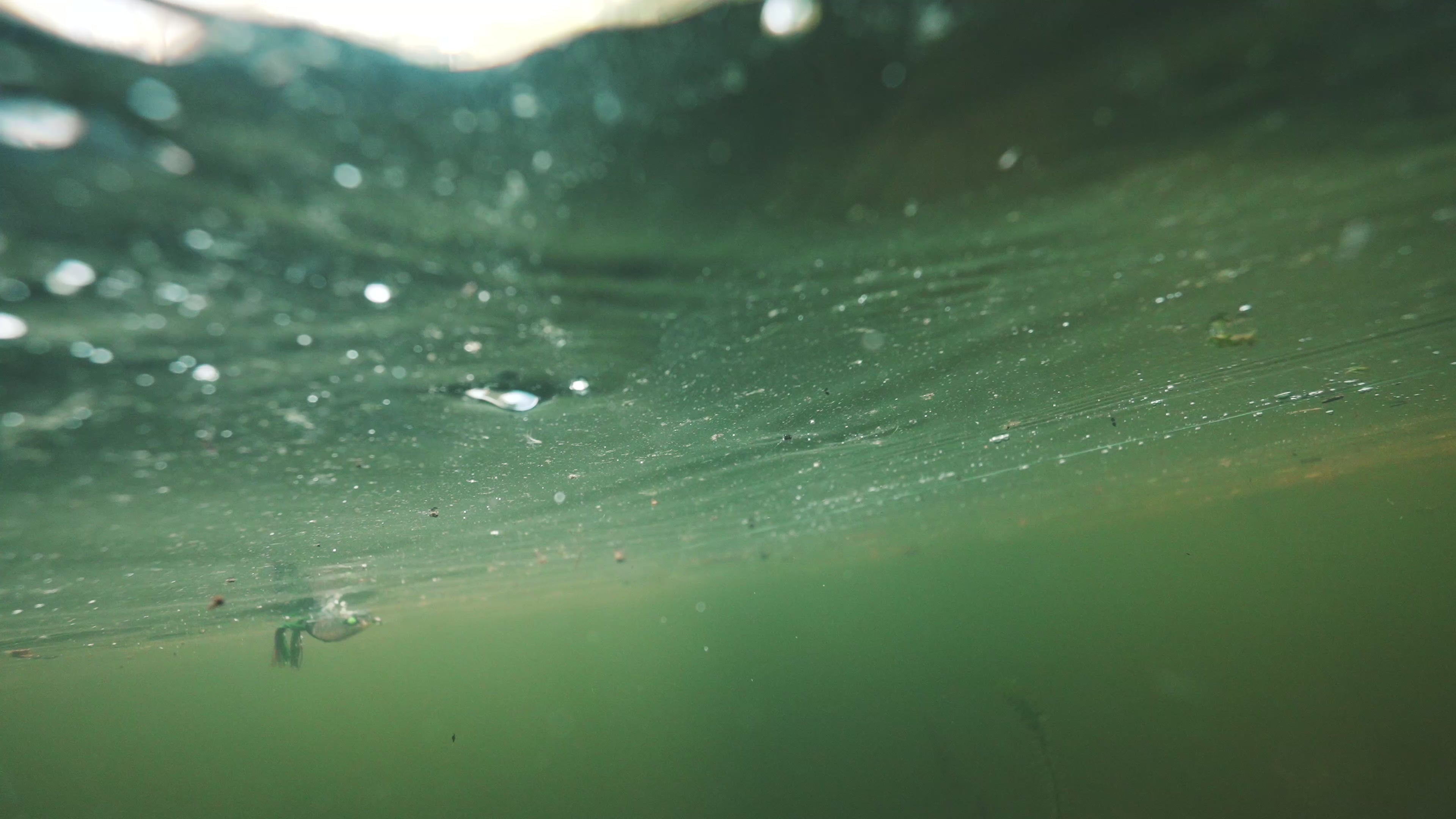 Load video: Video shows the bait underwater swimming