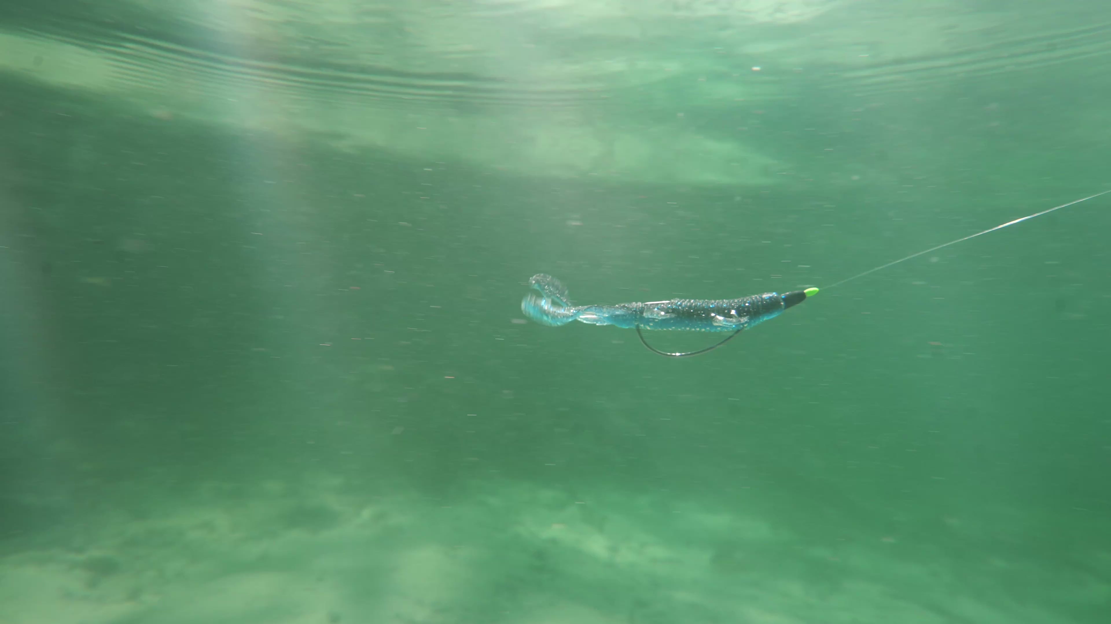 Load video: Video shows the bait underwater swimming