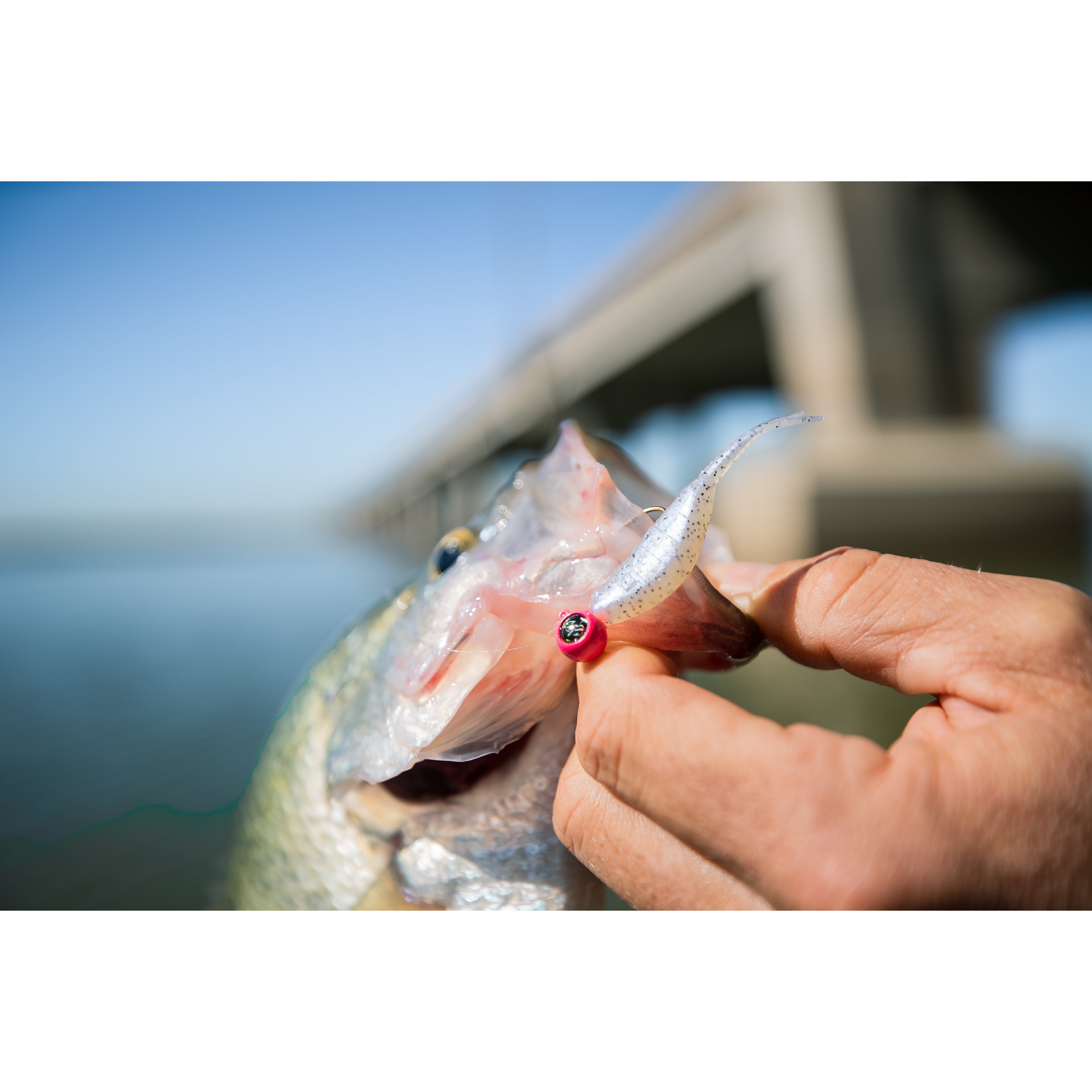 Crappie Jigs – Googan Squad